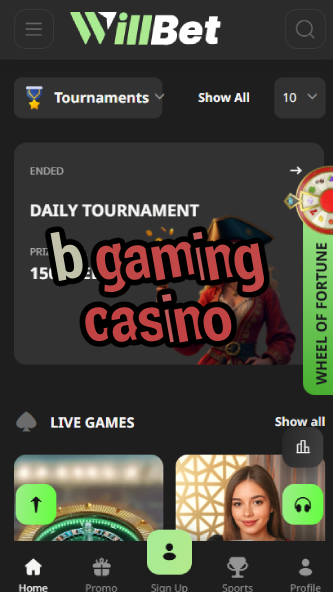 B Gaming Casino - Premium Casino Game Provider-www.bdqngd.com
