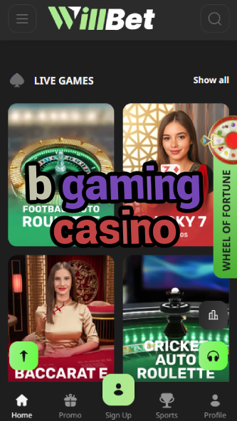 B Gaming Casino - Premium Casino Game Provider-www.bdqngd.com