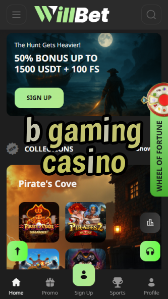 B Gaming Casino - Premium Casino Game Provider-www.bdqngd.com