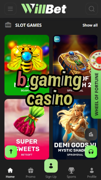 B Gaming Casino - Premium Casino Game Provider-www.bdqngd.com
